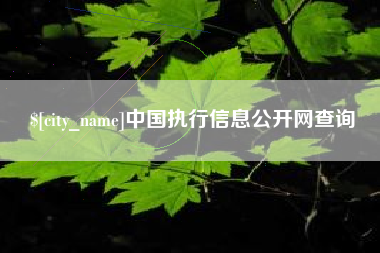 鹿邑中国执行信息公开网查询