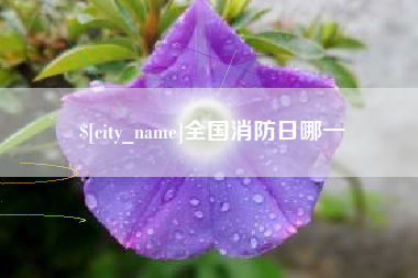 鹿邑全国消防日哪一