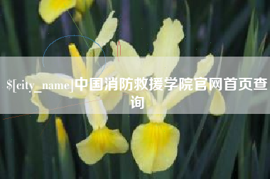 鹿邑中国消防救援学院官网首页查询