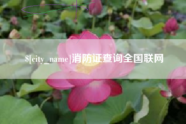 鹿邑消防证查询全国联网