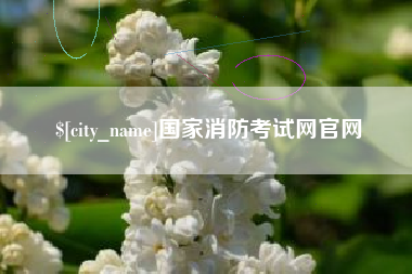 鹿邑国家消防考试网官网
