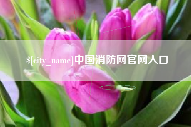 鹿邑中国消防网官网入口