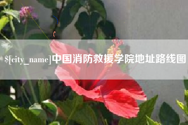 鹿邑中国消防救援学院地址路线图