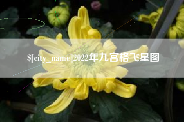 鹿邑2022年九宫格飞星图