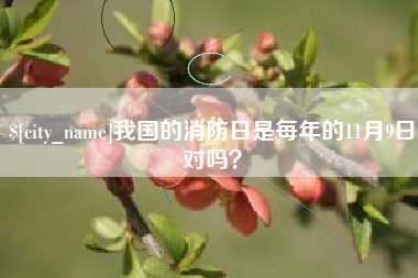 鹿邑我国的消防日是每年的11月9日对吗？