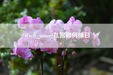 鹿邑九宫如何排日