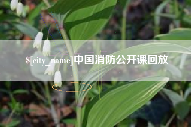 鹿邑中国消防公开课回放