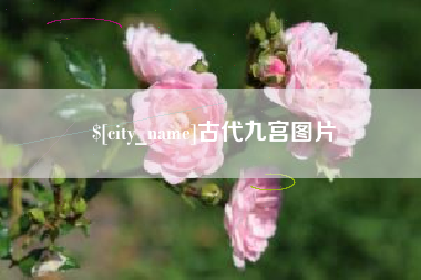 鹿邑古代九宫图片