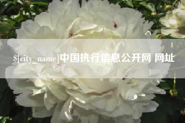 鹿邑中国执行信息公开网 网址