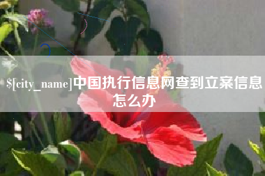 鹿邑中国执行信息网查到立案信息怎么办