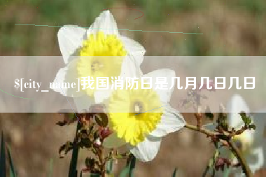 鹿邑我国消防日是几月几日几日
