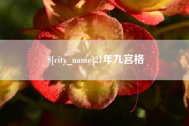 鹿邑21年九宫格