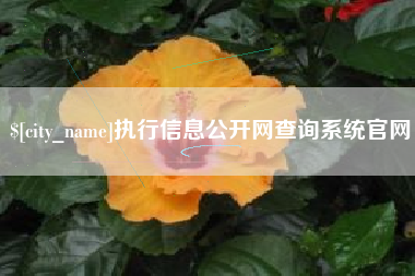 鹿邑执行信息公开网查询系统官网