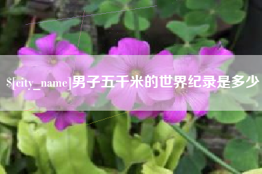 鹿邑男子五千米的世界纪录是多少