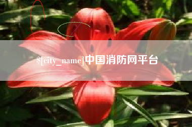 鹿邑中国消防网平台