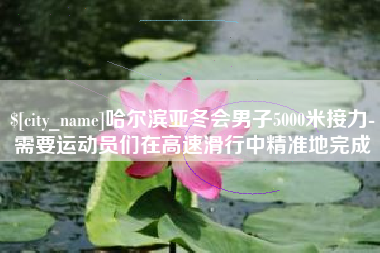 鹿邑哈尔滨亚冬会男子5000米接力-需要运动员们在高速滑行中精准地完成