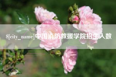 鹿邑中国消防救援学院招生人数