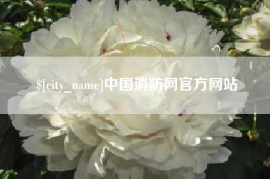 鹿邑中国消防网官方网站