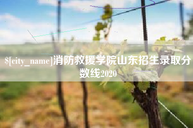 鹿邑消防救援学院山东招生录取分数线2020