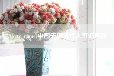 鹿邑中国失信执行人查询官网
