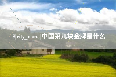 鹿邑中国第九块金牌是什么