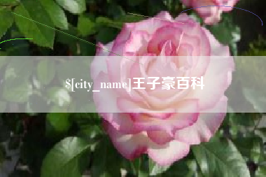 鹿邑王子豪百科