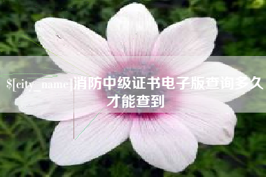 鹿邑消防中级证书电子版查询多久才能查到