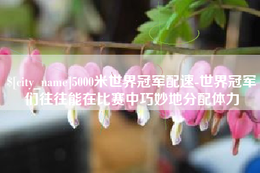 鹿邑5000米世界冠军配速-世界冠军们往往能在比赛中巧妙地分配体力