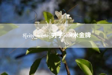 鹿邑男子5000米金牌