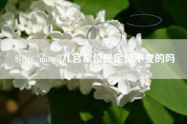鹿邑九宫星位是定位不变的吗