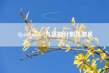 鹿邑九宫图分割线图片