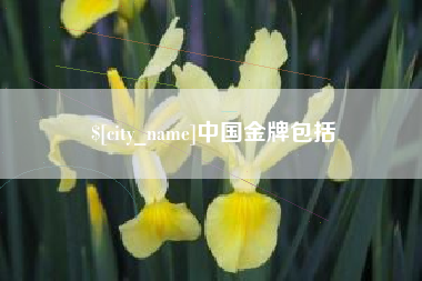 鹿邑中国金牌包括