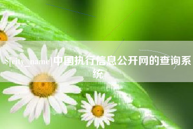 鹿邑中国执行信息公开网的查询系统