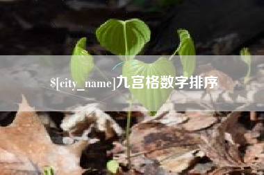 鹿邑九宫格数字排序