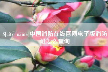 鹿邑中国消防在线官网电子版消防证怎么查询
