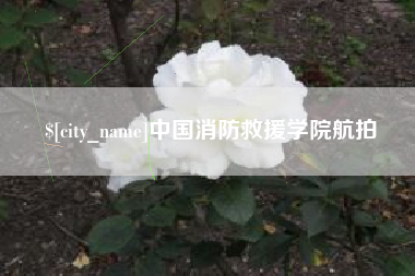 鹿邑中国消防救援学院航拍