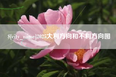 鹿邑2025大利方向和不利方向图