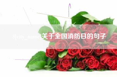 鹿邑关于全国消防日的句子