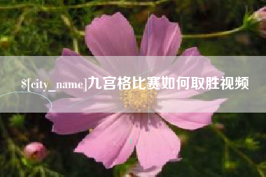 鹿邑九宫格比赛如何取胜视频