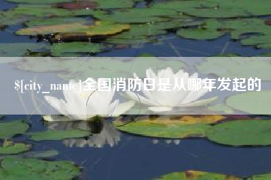 鹿邑全国消防日是从哪年发起的