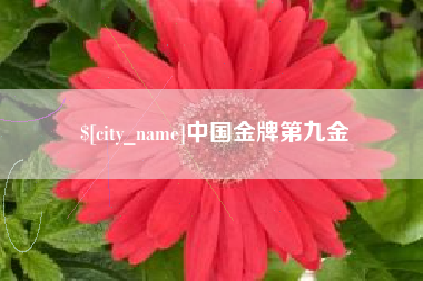 鹿邑中国金牌第九金