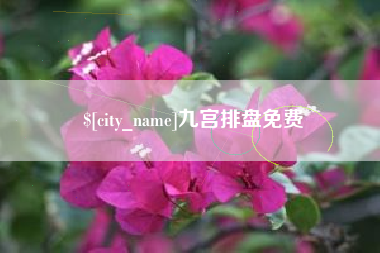 鹿邑九宫排盘免费
