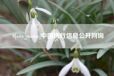 鹿邑中国执行信息公开网询