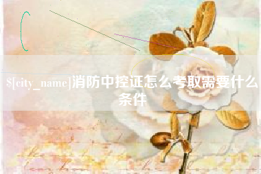 鹿邑消防中控证怎么考取需要什么条件