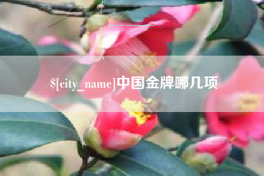鹿邑中国金牌哪几项