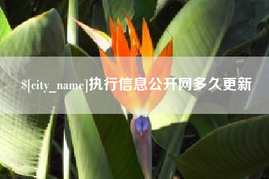 鹿邑执行信息公开网多久更新