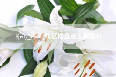 鹿邑九宫格盘点工具图片
