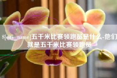 鹿邑五千米比赛领跑员是什么-他们就是五千米比赛领跑员