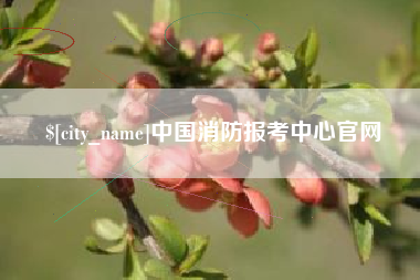 鹿邑中国消防报考中心官网