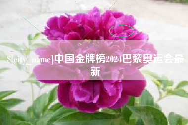 鹿邑中国金牌榜2024巴黎奥运会最新